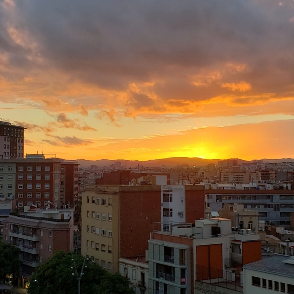 Meet your Posher, Susan - Picture 8 of 15